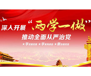 两学一做课题